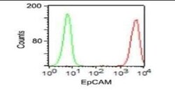 EpCAM/TROP1 Antibody (VU-1D9), Novus Biologicals:Antibodies:Primary Antibodies
