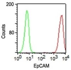 EpCAM/TROP1 Antibody (VU-1D9), Novus Biologicals:Antibodies:Primary Antibodies