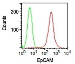 EpCAM/TROP1 Antibody (VU-1D9), Novus Biologicals:Antibodies:Primary Antibodies