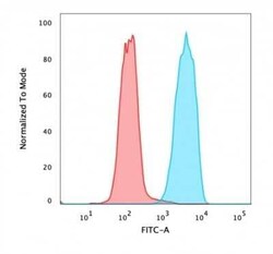 EpCAM/TROP1 Antibody (rVU-1D9) - (ECD), Novus Biologicals:Antibodies:Primary