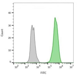 EpCAM/TROP1 Antibody (rVU-1D9) - (ECD), Novus Biologicals:Antibodies:Primary