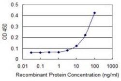Ephrin-A3 Antibody (1C12), Novus Biologicals 0.1 mg | Buy Online | Novus Biologicals | Fisher Scientific