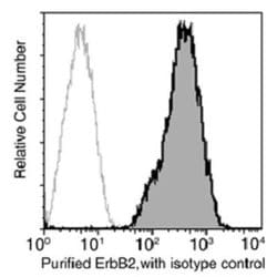 ErbB2/Her2 Rabbit anti-Human, Clone: 511, Novus Biologicals 50 &mu;g; Unconjugated:Antibodies,