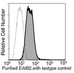 ErbB2/Her2 Rabbit anti-Human, Clone: 511, Novus Biologicals 50 &mu;g; Unconjugated:Antibodies,