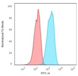 ErbB2/Her2 Antibody (ERB2/776), Novus Biologicals:Antibodies:Primary Antibodies
