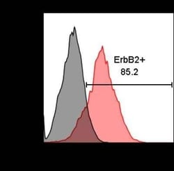 ErbB2/Her2 Mouse, Clone: HRB2/258, Novus Biologicals 0.1mg; Unlabeled:Antibodies,
