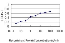 Erbin Antibody (10G1), Novus Biologicals 100 &mu;g | Buy Online | Novus Biologicals | Fisher Scientific