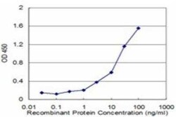 FAAH Antibody (2G8), Novus Biologicals 0.1 mg | Buy Online | Novus Biologicals | Fisher Scientific