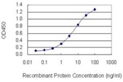 FAF1 Antibody (1A10), Novus Biologicals 0.1 mg | Buy Online | Novus Biologicals | Fisher Scientific
