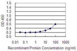 FBXL7 Antibody (2G10), Novus Biologicals 0.1 mg | Buy Online | Novus Biologicals | Fisher Scientific