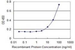 FBXW12 Antibody (1A9), Novus Biologicals 0.1 mg; Unconjugated:Antibodies,