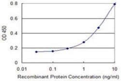 Novus Biologicals FDX1 Antibody (4G5), Novus Biologicals 0.1 mg | Buy Online | Novus Biologicals&trade; | Fisher Scientific