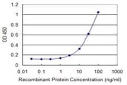 FGGY carbohydrate kinase domain containing Antibody (3B9), Novus Biologicals 0.1 mg | Buy Online | Novus Biologicals | Fisher Scientific