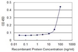 FIBP Antibody (1E5), Novus Biologicals 0.1 mg | Buy Online | Novus Biologicals | Fisher Scientific