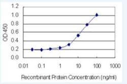 FIGLA Antibody (6A10), Novus Biologicals 100 &mu;g; Unconjugated:Antibodies,