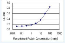 Novus Biologicals FIGN Antibody (2F8), Novus Biologicals 100 &mu;g, Unconjugated:Anticuerpos