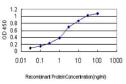 FLJ23834 Antibody (8E8), Novus Biologicals 0.1 mg | Buy Online | Novus Biologicals | Fisher Scientific