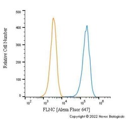 FLNC Antibody - BSA Free, Novus Biologicals 0.025 mg; Unconjugated:Antibodies,