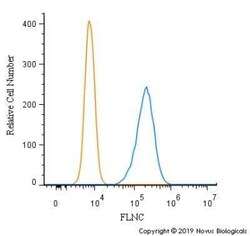 FLNC Antibody - BSA Free, Novus Biologicals 0.1 mg; Unconjugated:Antibodies,