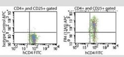 FOLR4 Antibody (12A5) - Azide and BSA Free, Novus Biologicals 100 ug; Unconjugated:Antibodies,