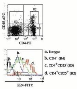 FOLR4 Antibody (12A5) - Azide and BSA Free, Novus Biologicals 100 ug; Unconjugated:Antibodies,
