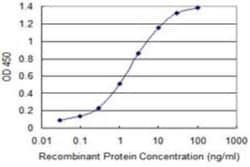 FOXA3 Antibody (1C6), Novus Biologicals 0.1 mg, Unconjugated:Antibodies,