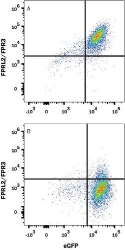 Human FPRL2/FPR3 PE-conjugated Antibody, R D Systems 100 Tests; Phycoerythrin:Antibodies,