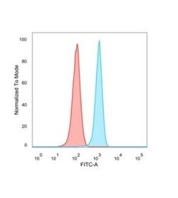 FRA2 Antibody (PCRP-FOSL2-1B1) - Azide and BSA Free, Novus Biologicals 100 &mu;g | Buy Online | Novus Biologicals | Fisher Scientific