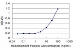 FRA2 Antibody (2B2), Novus Biologicals 0.1 mg, Unconjugated:Antibodies,