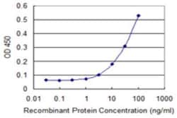 FSD1 Antibody (1G3), Novus Biologicals 0.1 mg; Unconjugated:Antibodies,