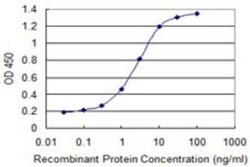 FZR1/CDH1 Antibody (3E12), Novus Biologicals 0.1 mg, Unconjugated:Antibodies,