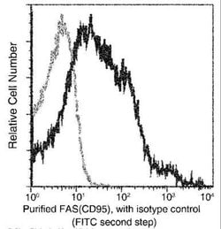 Fas/TNFRSF6/CD95 Rabbit anti-Rat, Clone: 28, Novus Biologicals:Antibodies:Primary