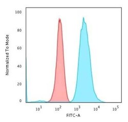 Fascin Antibody (FSCN1/418), Novus Biologicals 0.1mg; Unlabeled:Antibodies,