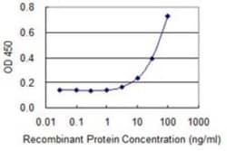 Fast skeletal myosin light chain 2 Antibody (3H3), Novus Biologicals 0.1