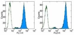 Fc epsilon RI Antibody (43160) - BSA Free, Novus Biologicals:Antibodies:Primary