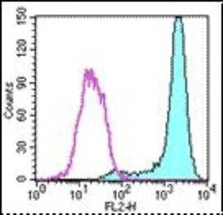 Fc epsilon RI Antibody (43160) - BSA Free, Novus Biologicals:Antibodies:Primary