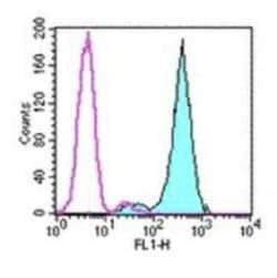 Fc epsilon RI Antibody (43160) - BSA Free, Novus Biologicals:Antibodies:Primary