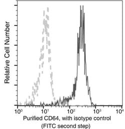 Fc gamma RI/CD64 Rabbit anti-Human, Clone: 401, Novus Biologicals:Antibodies:Primary