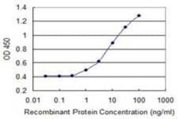 Fc gamma RIIB/CD32b Antibody (2E10), Novus Biologicals 100 &mu;g; Unconjugated:Anticorps,
