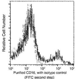 Fc gamma RIII (CD16) Rabbit anti-Human, Clone: 221, Novus Biologicals:Antibodies:Primary