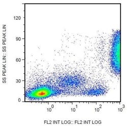 Fc gamma RIIIA/CD16a Antibody (3G8) - BSA Free, Novus Biologicals:Antibodies:Primary