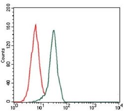 Fibronectin Antibody (2F4) - Azide and BSA Free, Novus Biologicals 0.1