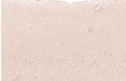 FoxP2 Antibody (CL5312), Novus Biologicals 100&mu;L:Antibodies, Monoclonal