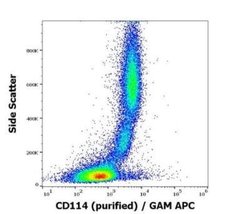 G-CSFR/CD114 Antibody (LMM741) - BSA Free, Novus Biologicals 0.1 mg | Buy Online | Novus Biologicals | Fisher Scientific