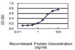 G3BP1 Antibody (2F3), Novus Biologicals 0.1 mg, Unconjugated:Antibodies,