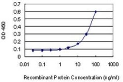 GATA-1 Antibody (3G6), Novus Biologicals 0.1 mg | Buy Online | Novus Biologicals | Fisher Scientific