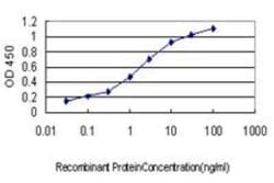 GATA-2 Antibody (2D11), Novus Biologicals 0.1 mg, Unconjugated:Antibodies,