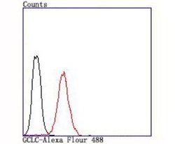 GCLC Rabbit anti-Human, Clone: JA08-03, Novus Biologicals 100&mu;L:Antibodies,
