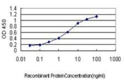 GDF-7/BMP-12 Antibody (3C2), Novus Biologicals 0.1 mg; Unconjugated:Antibodies,
