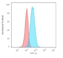 GFAP Antibody (GA-5) - Azide and BSA Free, Novus Biologicals 0.1mg; Unlabeled:Antibodies,